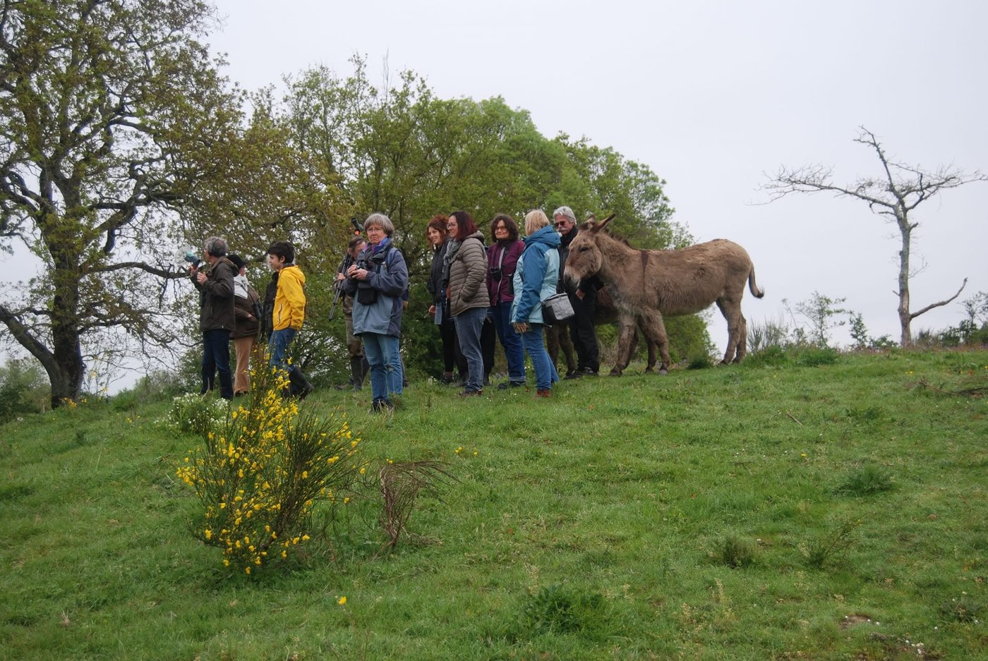 Sortie LPO avec les ânes