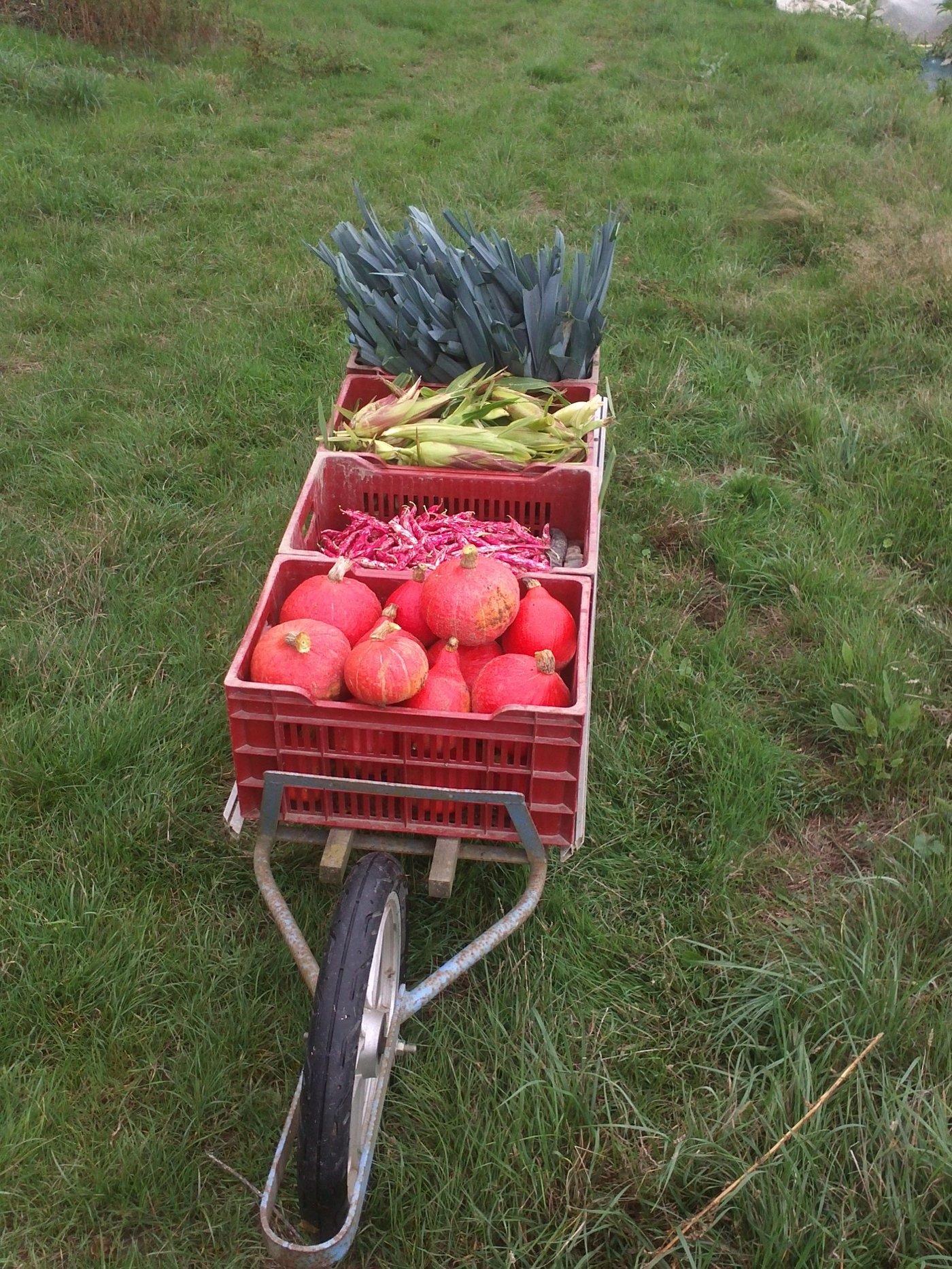 Brouette de légumes d'automne