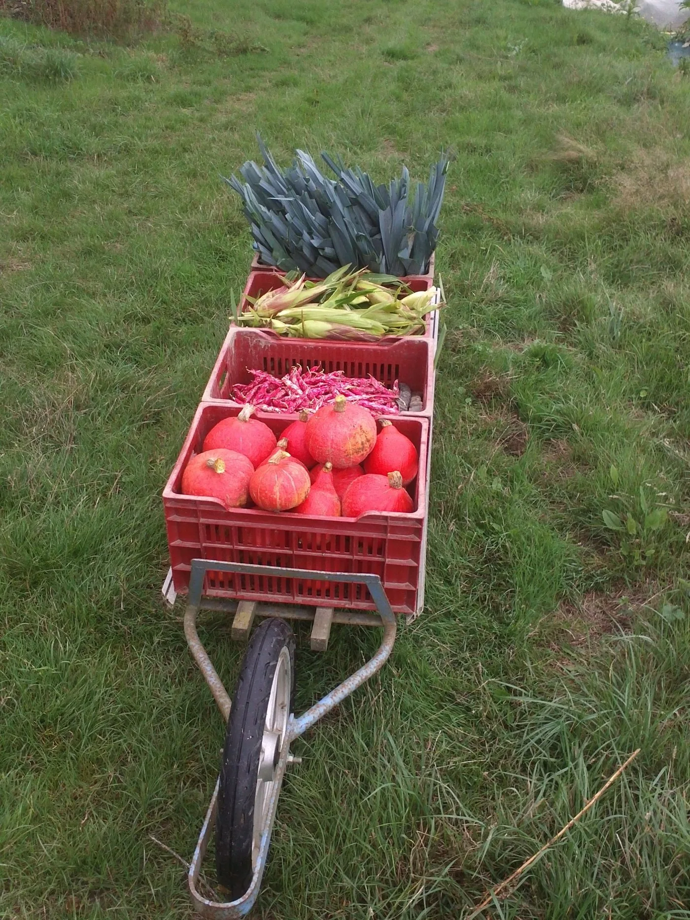 Brouette de légumes d'automne