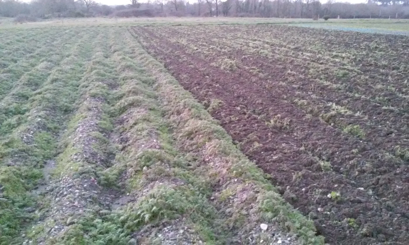 Travail du sol en 2015