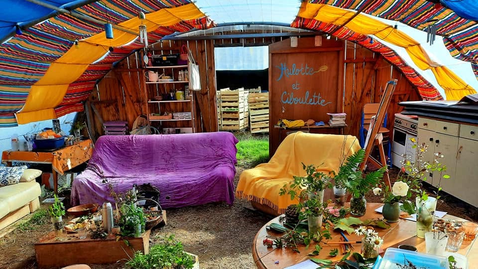 Serre aux jolies plantes