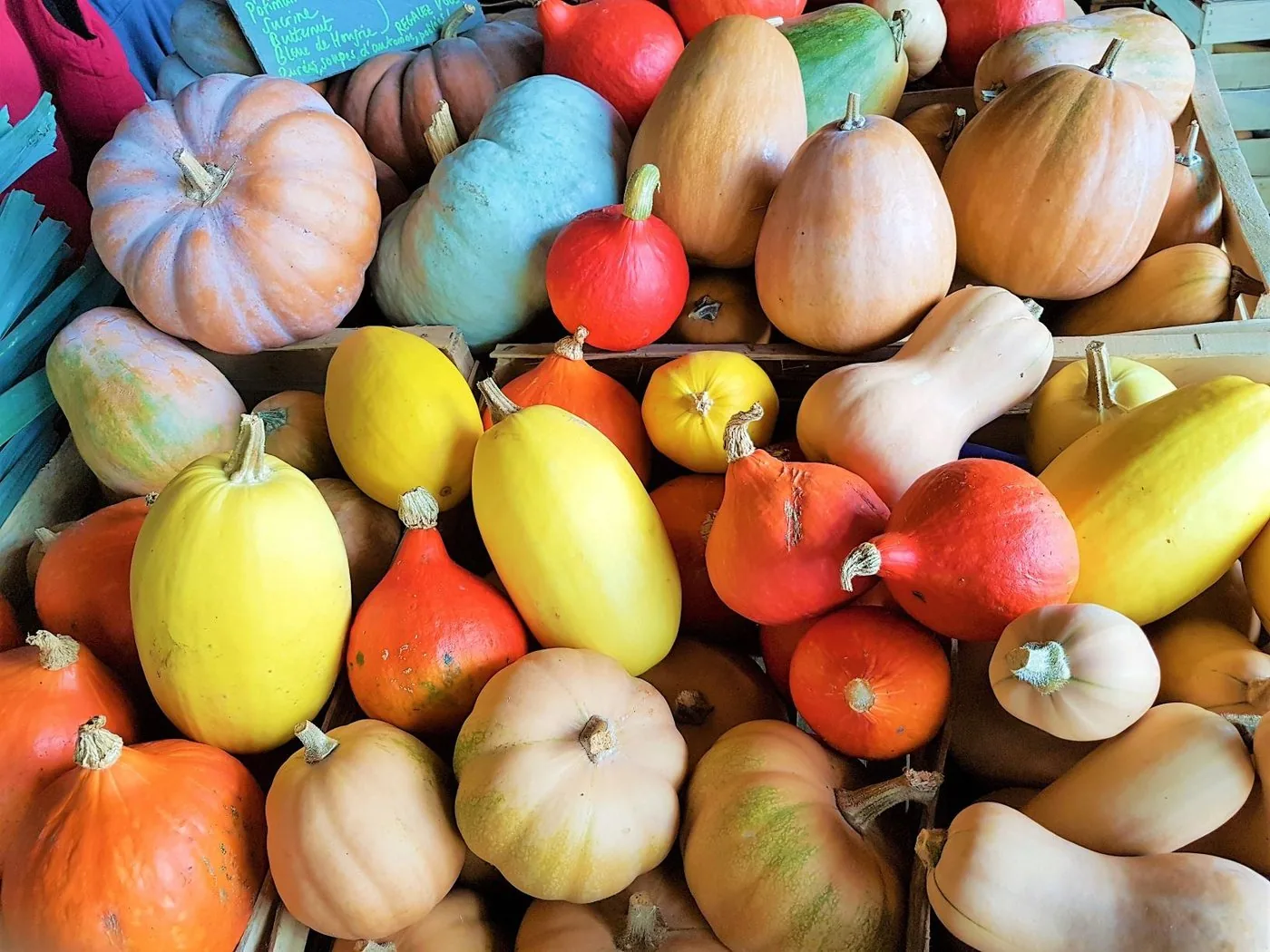 Étal de courges variées