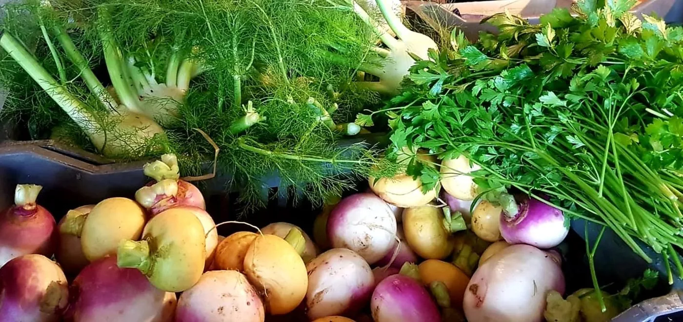 Légumes d'automne
