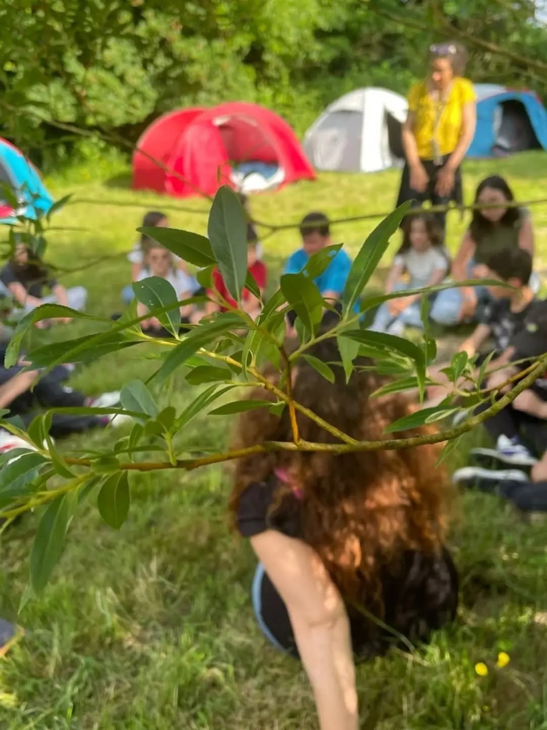 Accueil camping