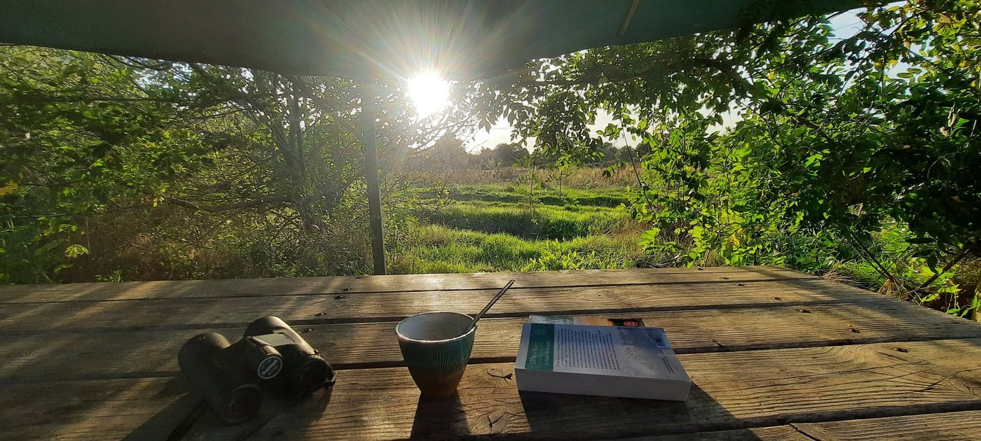 Détente au camping