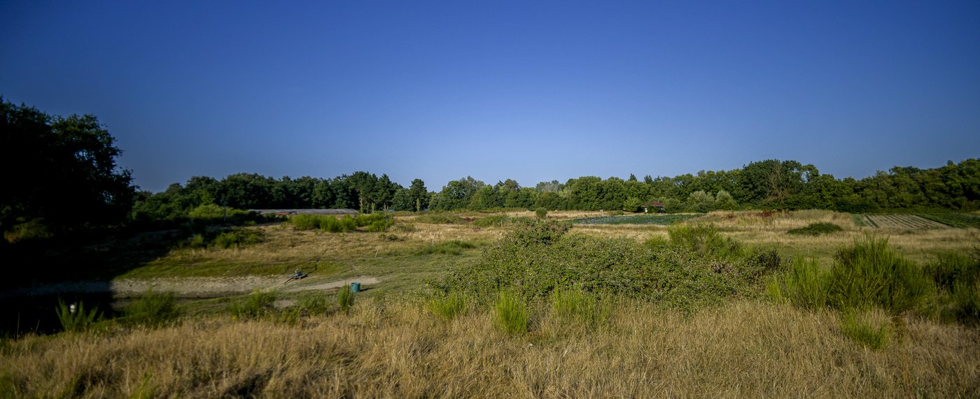 etang-du-bas-vue-panoramique-jardin