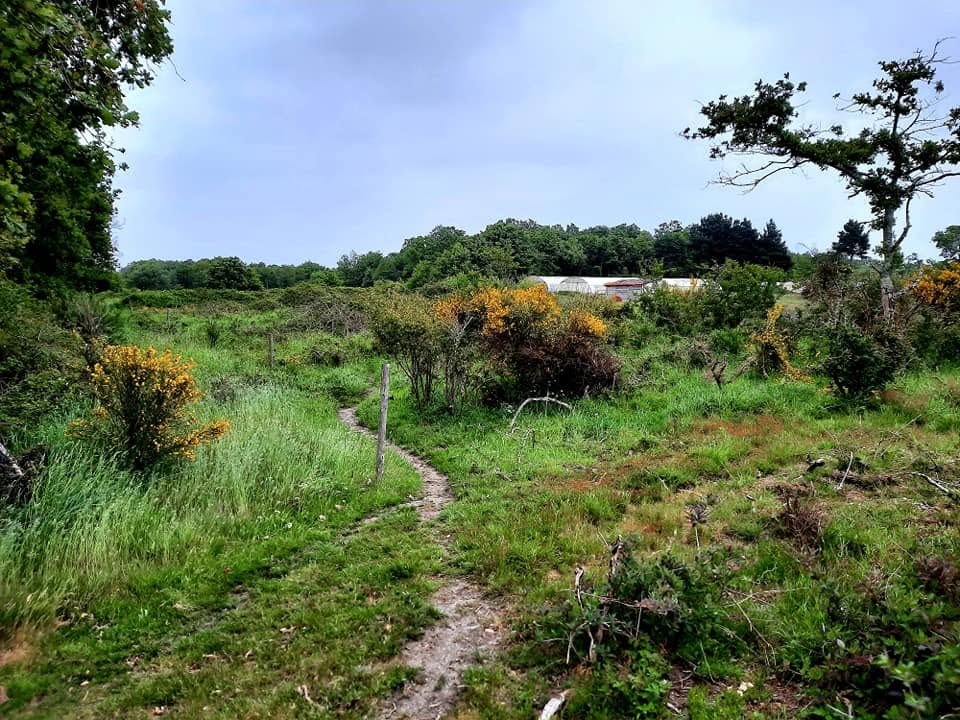 Prairie des ânes