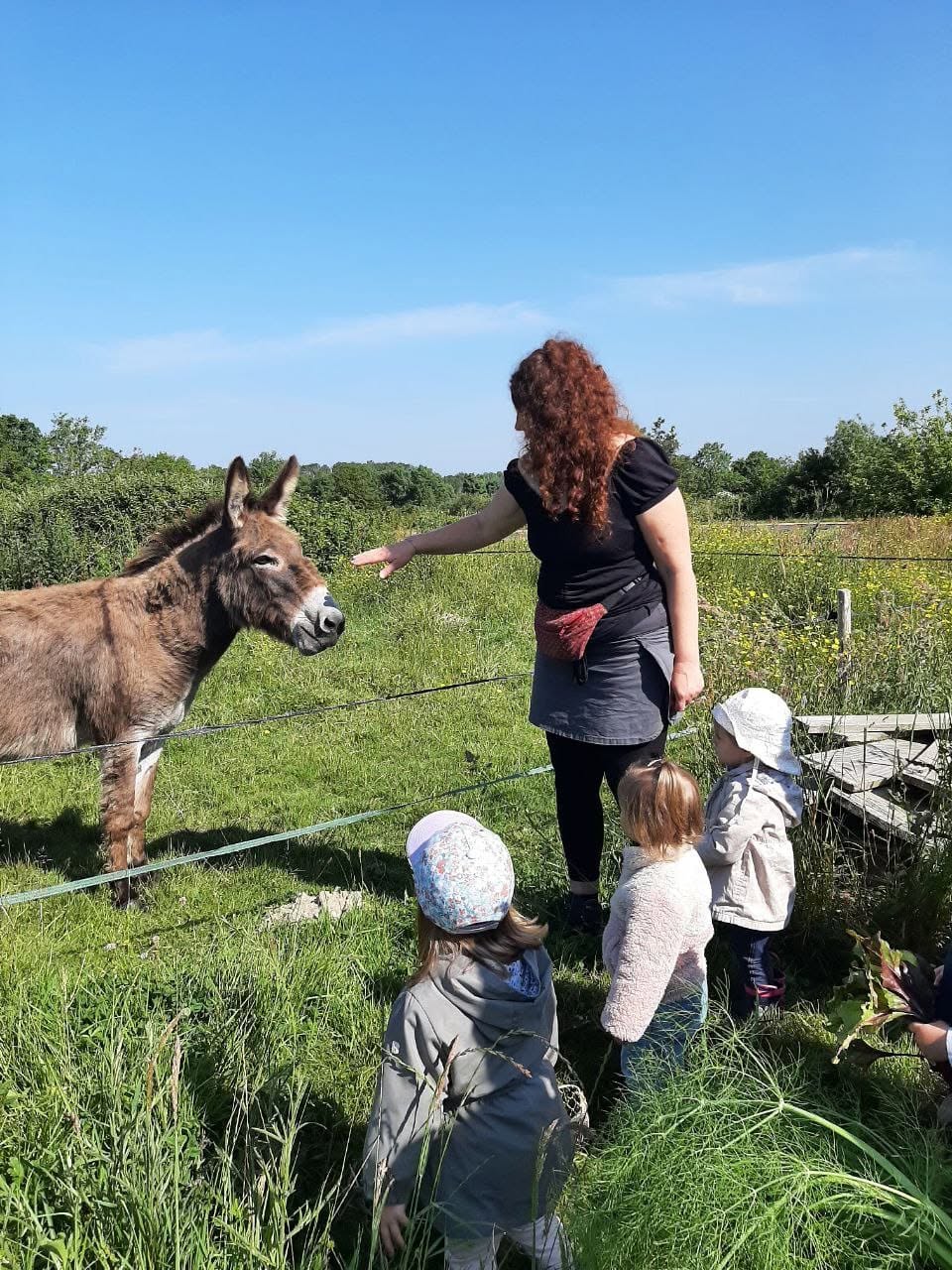 Louise avec les ânes