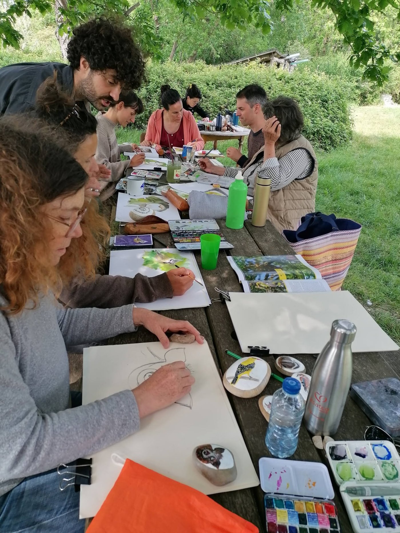 Dessin naturaliste