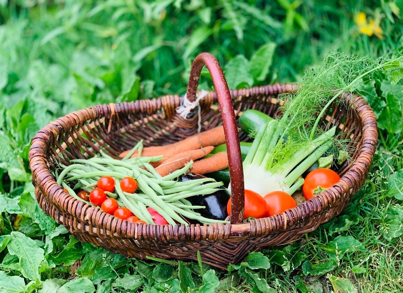 Beau panier de légumes