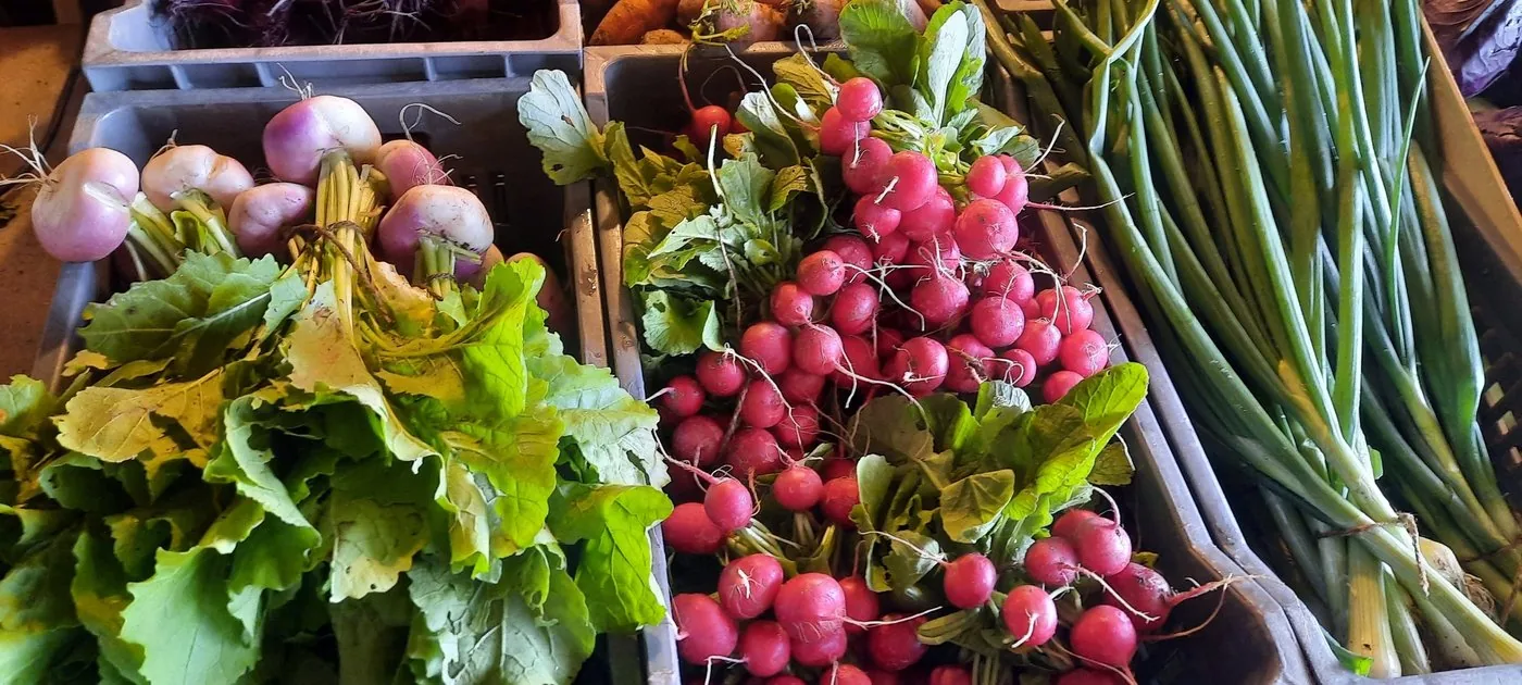 Légumes et radis au marché