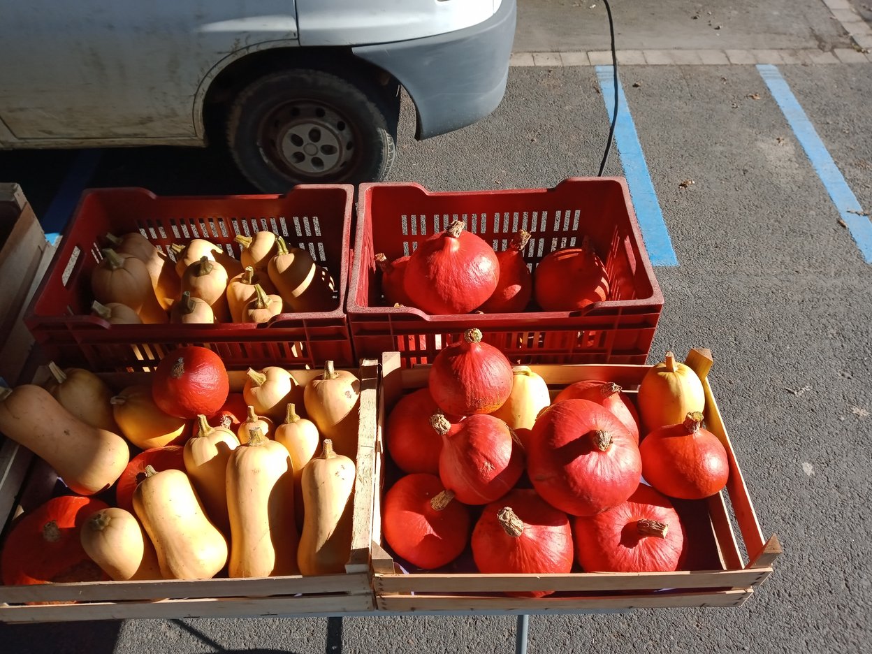 Étal marché St Même