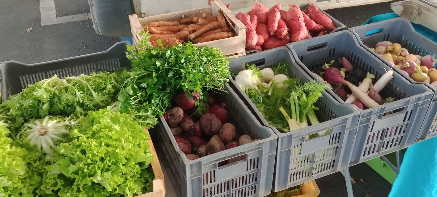 Légumes au marché de St Même