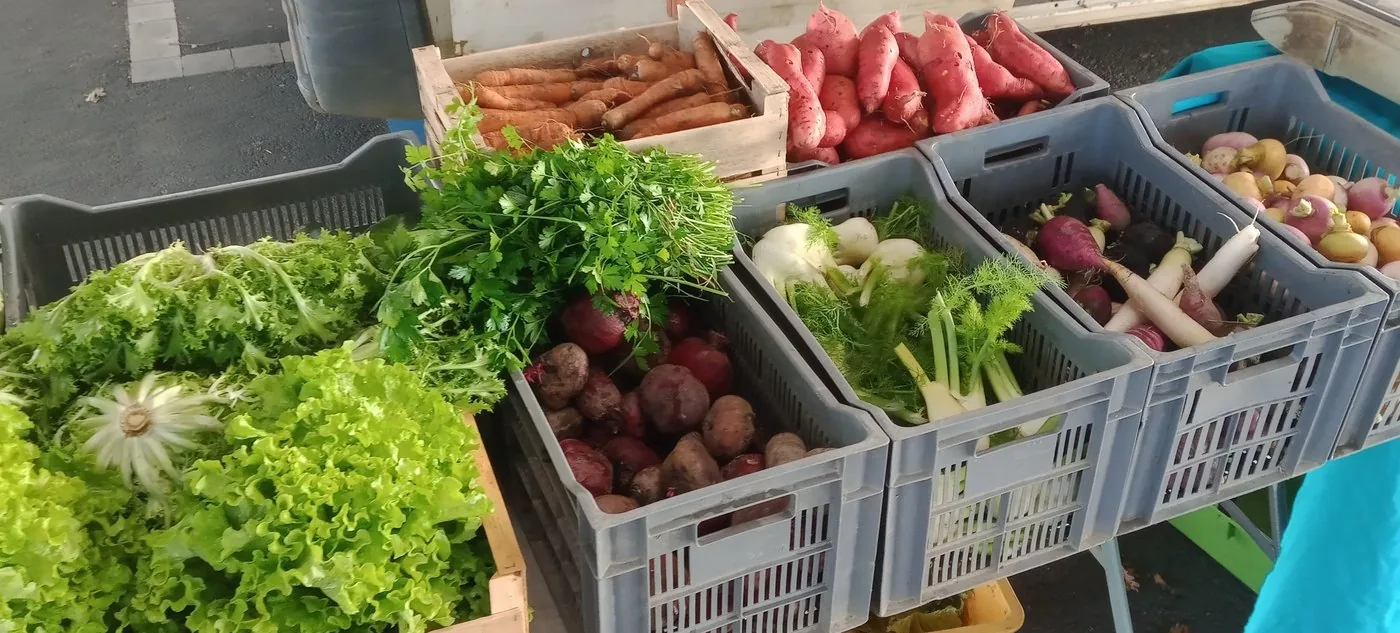 Légumes au marché de St Même
